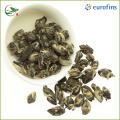 Perles de jasmin certifiées UE Chun Hao Jasmin Tea